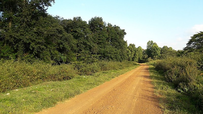 800px-Camino_rural_2